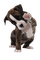 gala animals dog - 免费PNG 动画 GIF