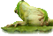 frog,grenouille - GIF animado grátis Gif Animado
