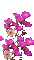 gif fleurs roses - Darmowy animowany GIF animowany gif