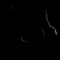lightning - Nemokamas animacinis gif animuotas GIF