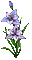 flower-ani - Darmowy animowany GIF animowany gif