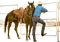cowboy bp - bezmaksas png animēts GIF