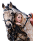 femme avec cheval.Cheyenne63 - PNG gratuit GIF animé
