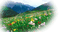 nature  landscape paysage 2 - Free PNG Animated GIF