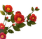 Flores rojas - gratis png geanimeerde GIF