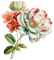 Roses dm19 - kostenlos png Animiertes GIF