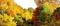 Wald - безплатен png анимиран GIF