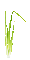 soave deco summer spring grass animated green - Free animated GIF Animated GIF