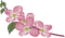 Kwiaty 555 - nemokama png animuotas GIF