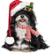 Kaz_Creations Christmas Dog Pup Dogs Colours - png gratis GIF animasi