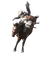 Rodeo Horse and Rider - zdarma png animovaný GIF