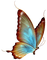 dulcineia8 borboletas - PNG gratuit GIF animé