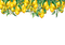 kikkapink lemon fruit deco png border frame - бесплатно png анимированный гифка