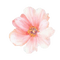 vintage flower deco - gratis png geanimeerde GIF