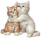 dulcineia8 gatos - 免费PNG 动画 GIF