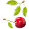 Kaz_Creations Cherries Cherry - png gratis GIF animado