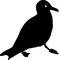 kaczka - darmowe png animowany gif
