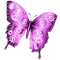 Steampunk.Butterfly.Purple - бесплатно png анимированный гифка