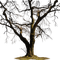 tree - gratis png animeret GIF