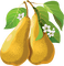 pears Bb2 - png gratuito GIF animata