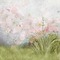 Background - 無料png アニメーションGIF
