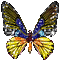 Glitter deco gif image papillon Irena
