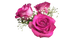 розы - png gratis GIF animado