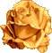 róża - Darmowy animowany GIF animowany gif