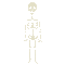 skeleton bp - Бесплатный анимированный гифка анимированный гифка
