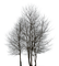 tree katrin - бесплатно png анимированный гифка