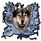 wolf - Bezmaksas animēts GIF animēts GIF