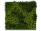 leaves, lehdet, luonto, nature - zadarmo png animovaný GIF