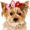 Kaz_Creations Dog 🐶 - gratis png geanimeerde GIF