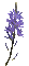 purple violet flower animated - Gratis geanimeerde GIF geanimeerde GIF