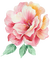 watercolor flower - PNG gratuit GIF animé