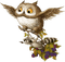 Y.A.M._Summer little animals owl - Free PNG Animated GIF