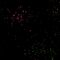 Galaxy - Ilmainen animoitu GIF