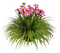 Kaz_Creations Deco Flowers Grass Colours