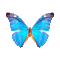 Butterfly - Бесплатный анимированный гифка анимированный гифка