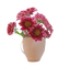 vase - png gratis GIF animado
