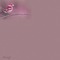 bg-pink-bird - Free PNG Animated GIF