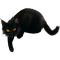 black cat - ingyenes png animált GIF
