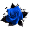 Gothic.Rose.Black.Blue - PNG gratuit GIF animé