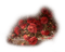rosas rojas  dubravka4 - png gratuito GIF animata
