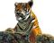 aze tigre - png gratis GIF animasi