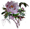fleur mauve.Cheyenne63 - png gratuito GIF animata