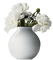 flowers peony, peonies bp - бесплатно png анимированный гифка