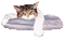 śpiący kotek - Ingyenes animált GIF animált GIF
