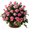 roses, flowers, pink - PNG gratuit GIF animé
