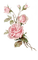 Roses - ücretsiz png animasyonlu GIF